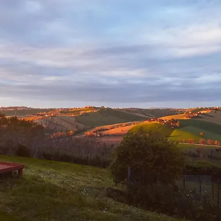 Il Gallo Silvestre - Bed&books
