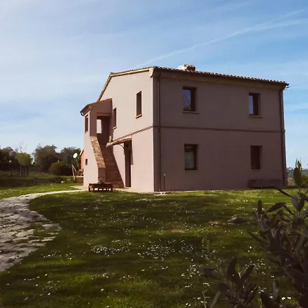 Il Gallo Silvestre - Bed&books * Montecassiano