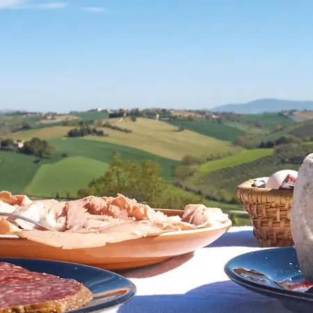 Il Gallo Silvestre - Bed&books Montecassiano