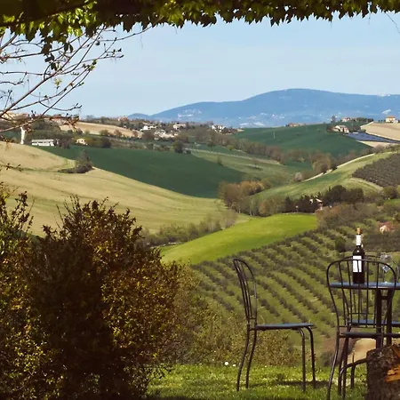 Il Gallo Silvestre - Bed&books