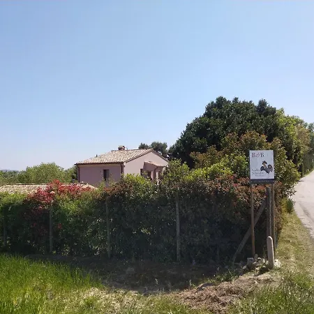 Il Gallo Silvestre - Bed&books *