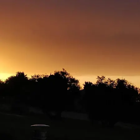 Bed & Breakfast Il Gallo Silvestre - Bed&books *