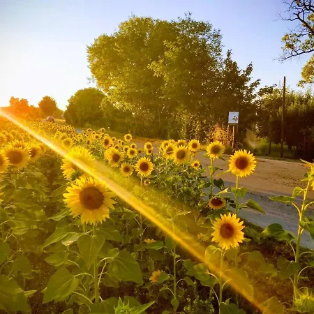 Il Gallo Silvestre - Bed&books Montecassiano