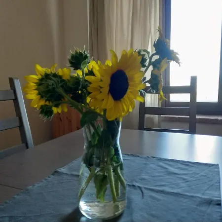 Il Gallo Silvestre - Bed&books * Montecassiano