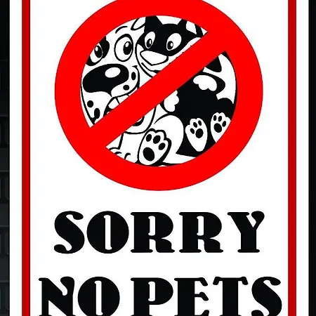 Il Gallo Silvestre - Bed&books *