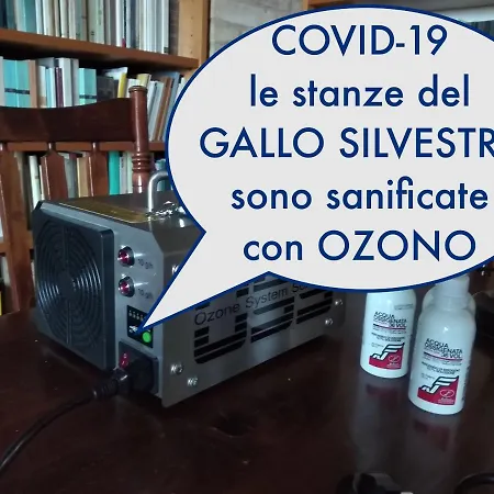 Bed and Breakfast Il Gallo Silvestre - Bed&books Montecassiano