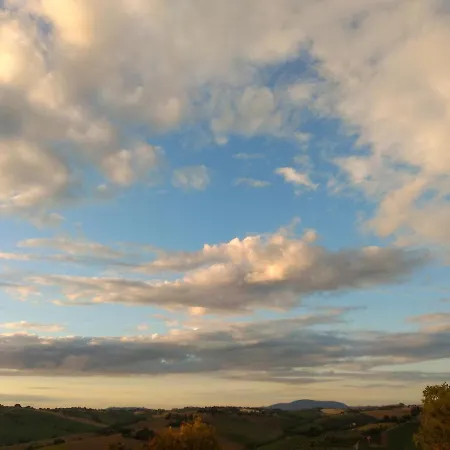 Bed & Breakfast Il Gallo Silvestre - Bed&books *