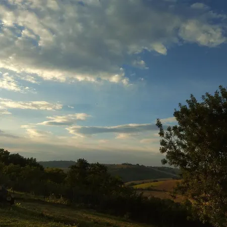 Bed & Breakfast Il Gallo Silvestre - Bed&books *