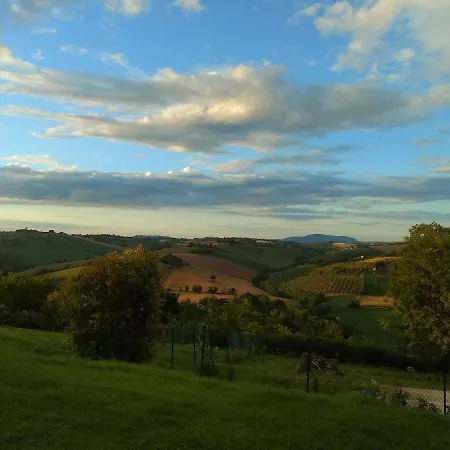 Il Gallo Silvestre - Bed&books Montecassiano
