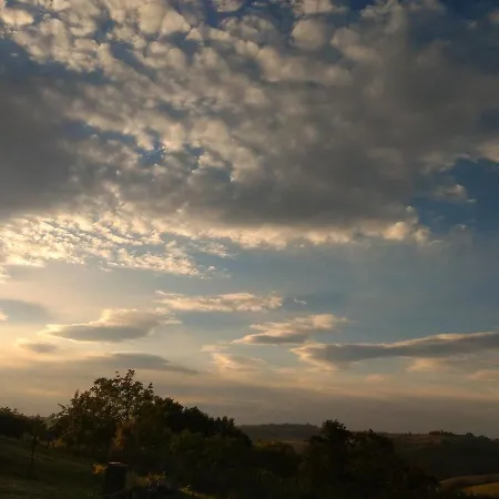 Il Gallo Silvestre - Bed&books לינה וארוחת בוקר Montecassiano