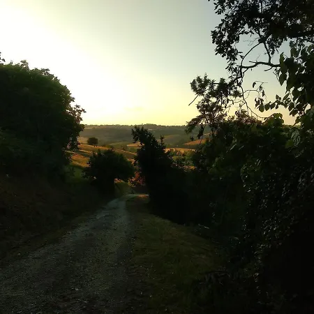 Il Gallo Silvestre - Bed&books Bed and Breakfast Montecassiano